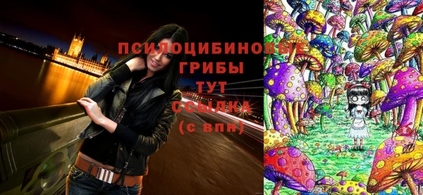 первитин Белокуриха