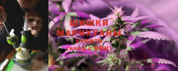 первитин Белокуриха
