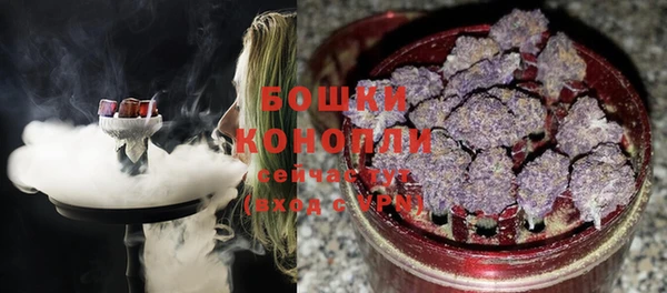 ПСИЛОЦИБИНОВЫЕ ГРИБЫ Беломорск
