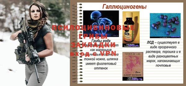 MDMA Богданович