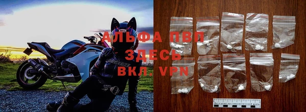 сатива Богородск